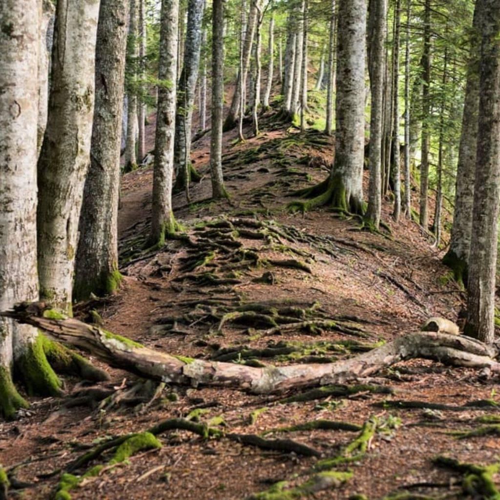 img 20250805 wa0009855331603807507317